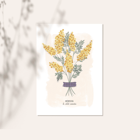 Carte - Mimosa